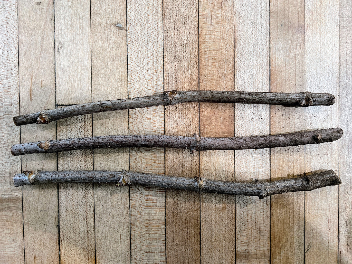 Wyldewood Elderberry