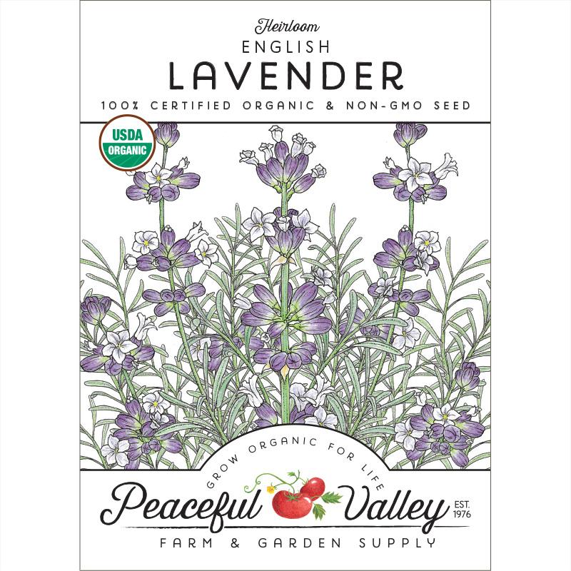 English-Vera Lavender Seeds (Organic) - Blessings Grow Meadows