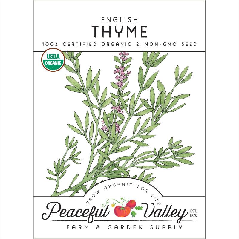 English Thyme Seeds (Organic) - Blessings Grow Meadows