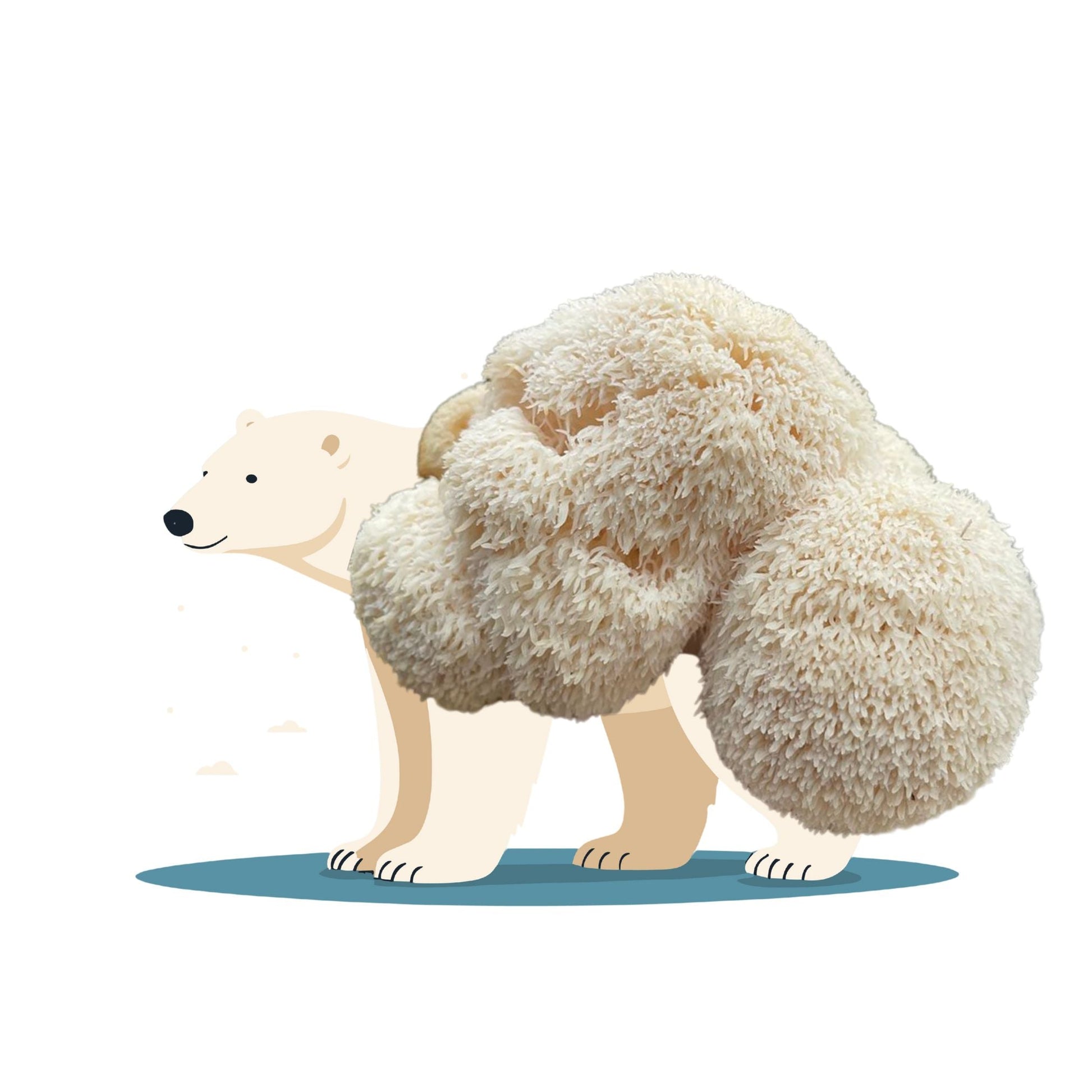 Eskimush Bear - Lion's Mane Mushroom Grow Kit - 6.5 LBS - Blessings Grow Meadows