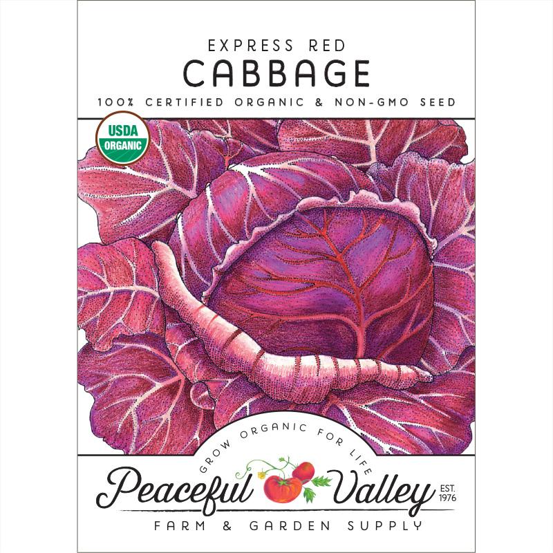 Express Red Cabbage Seeds (Organic) - Blessings Grow Meadows