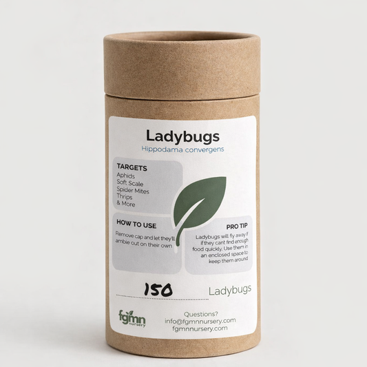 Ladybugs - FGMN Nursery ~ Blessings Grow Meadows