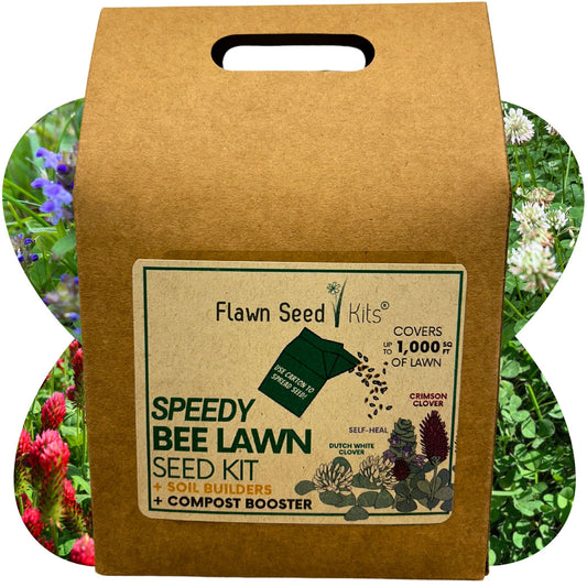 Speedy Bee Lawn Eco-Spread Carton - Blessings Grow Meadows