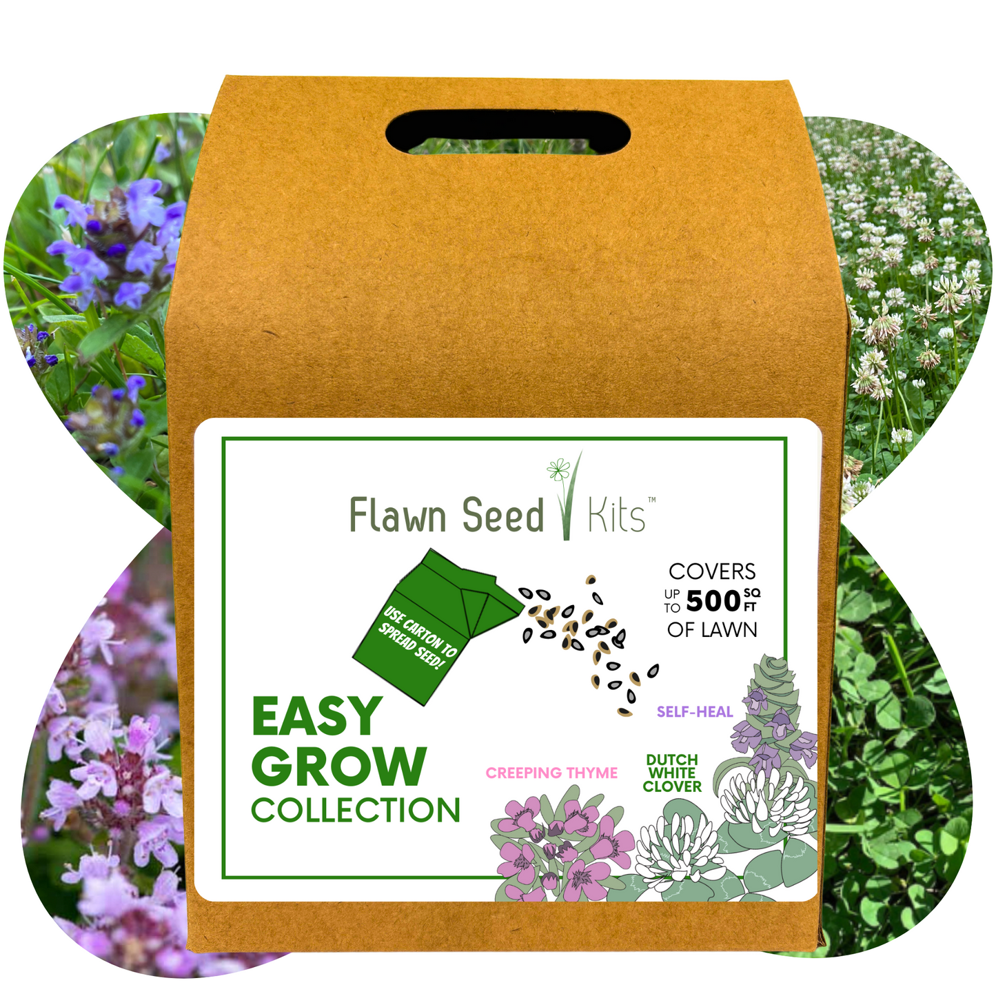 Easy Grow Dutch Clover Bee Lawn Eco-Friendly Kit - Blessings Grow Meadows