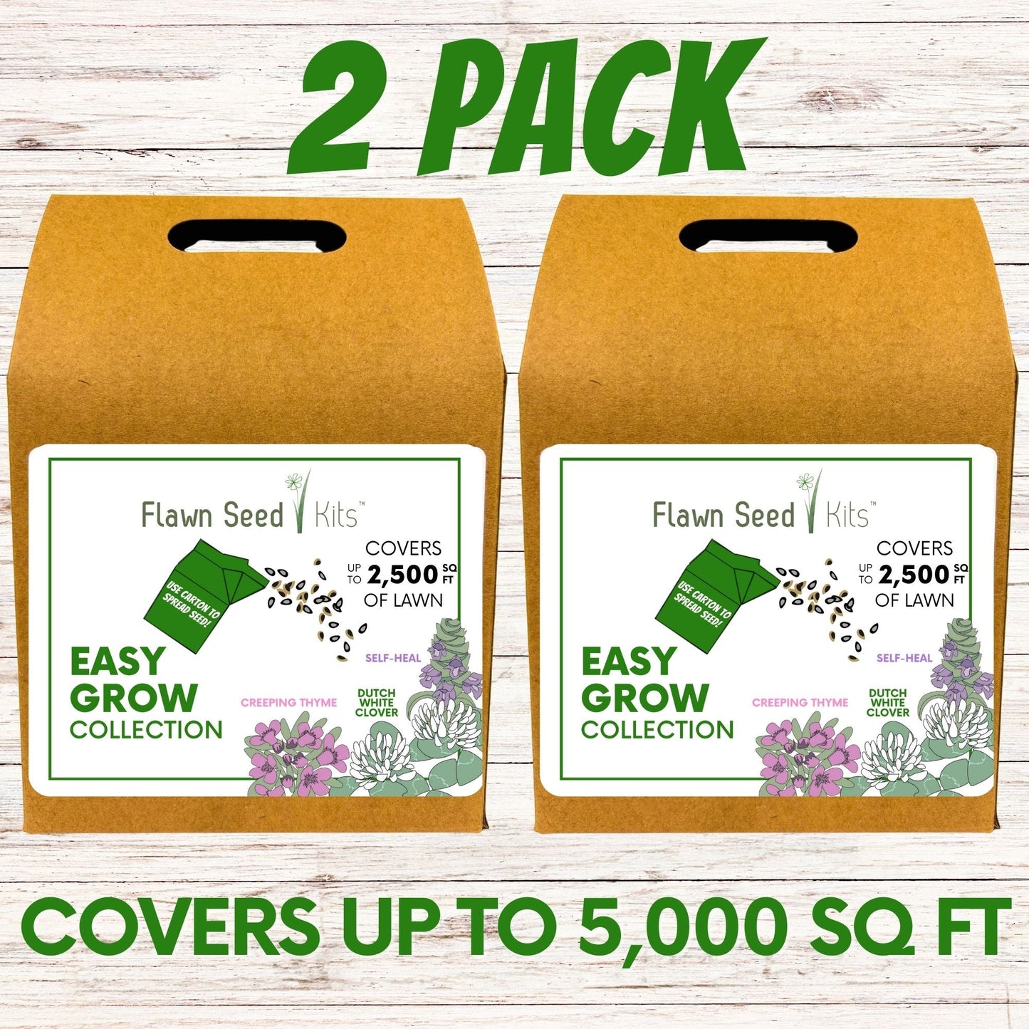 Easy Grow Dutch Clover Bee Lawn Eco-Friendly Kit - Blessings Grow Meadows