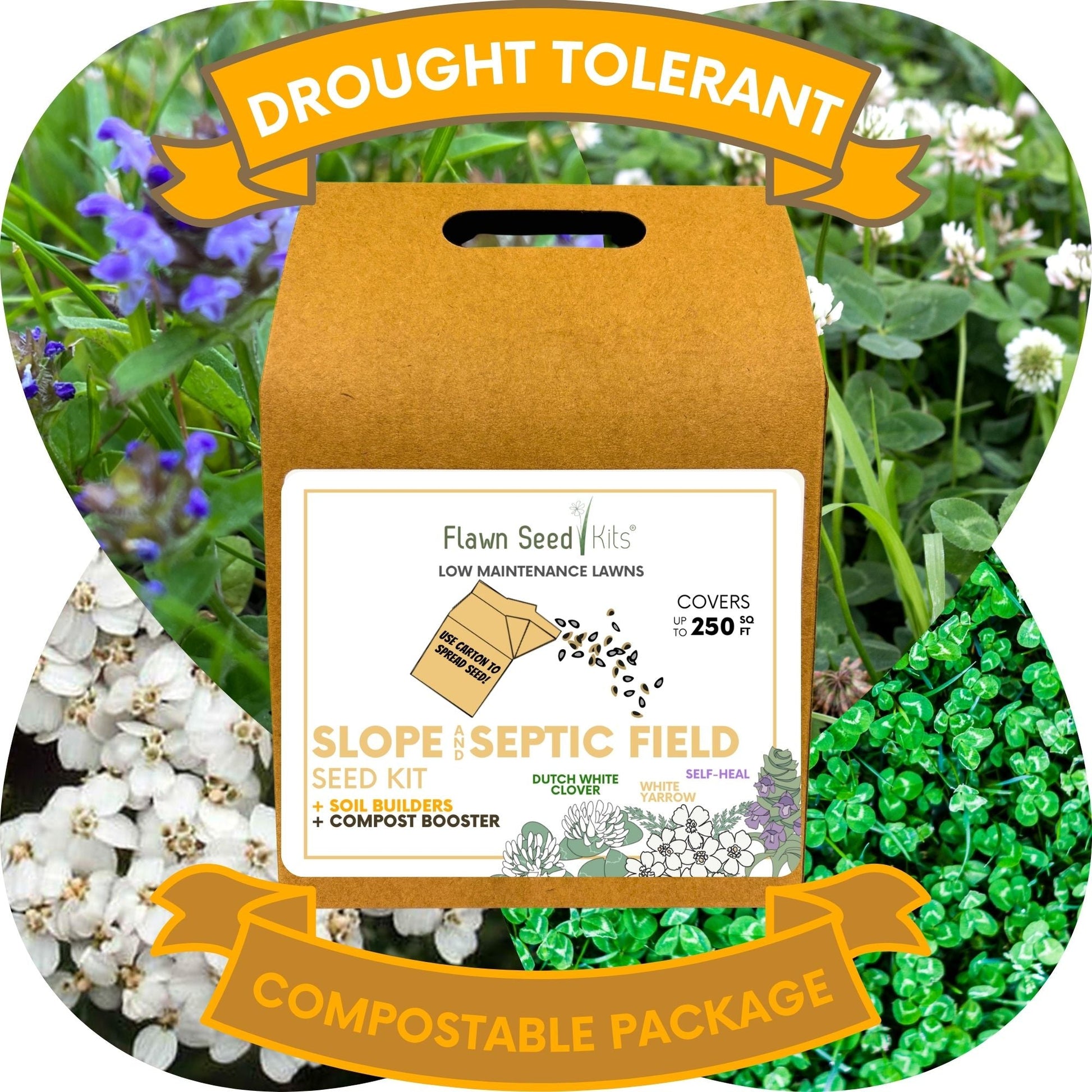 Slope and Septic System Seed Kit - Flawn Seed Kits ~ Blessings Grow Meadows