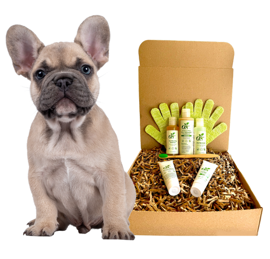 4-FURRY DOGS *REGULAR GROOMING KIT - Blessings Grow Meadows