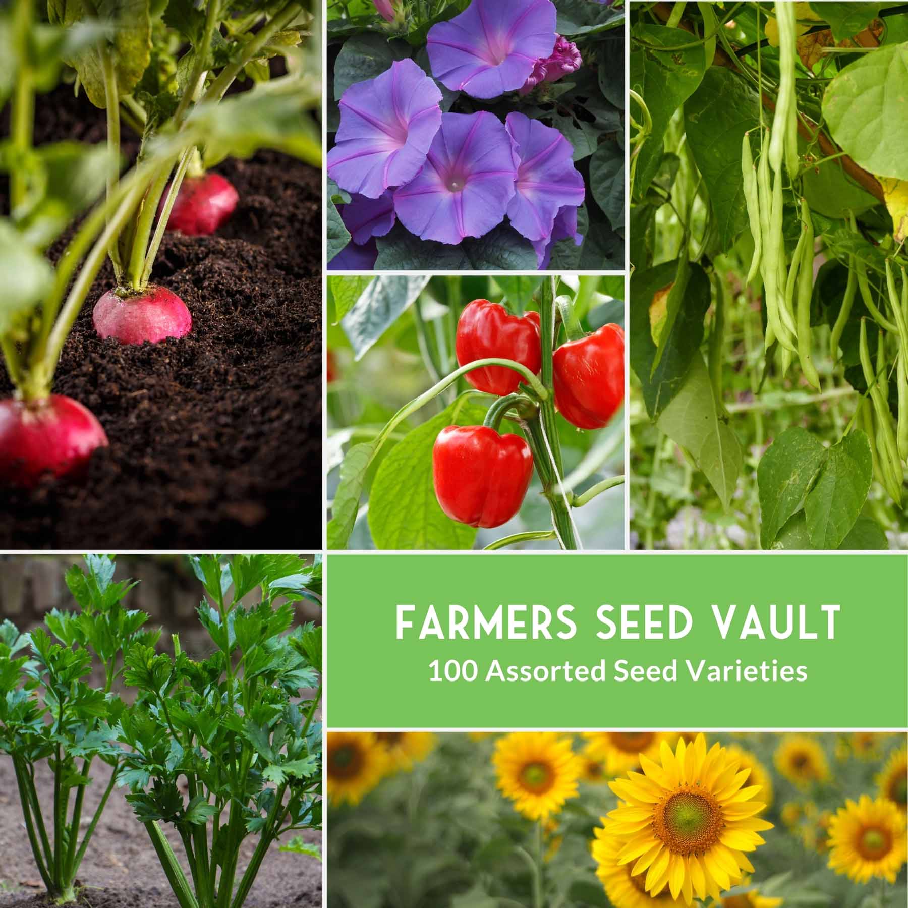 Complete Survival Garden Kit – 100 Seeds to Grow Food for Your Family - SurvivalGardenSeeds ~ Blessings Grow Meadows