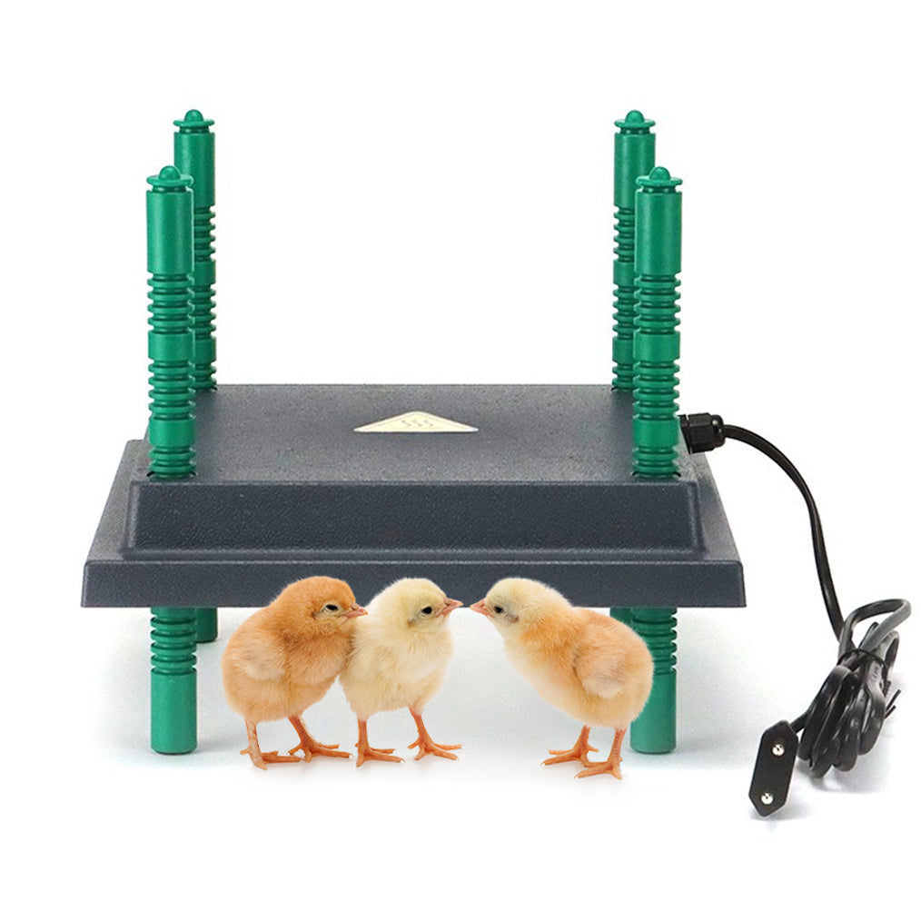 Three baby chicks stand before the My Pet Chicken Farmight Chick Brooder Heater Plate, featuring a black base, green adjustable legs, and power cord—an adjustable-height heater plate offering safer warmth for your flock in 3 sizes.