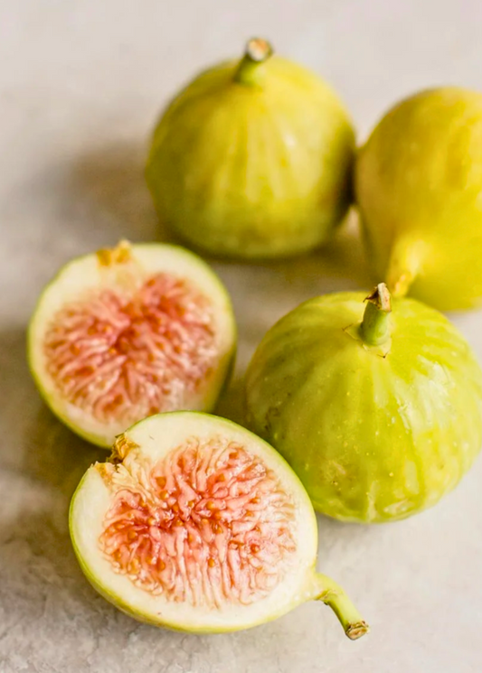 Healthy Fig 'Kadota' tropical fruit tree by Sow Exotic with lush green foliage and young fig growth in a garden setting.