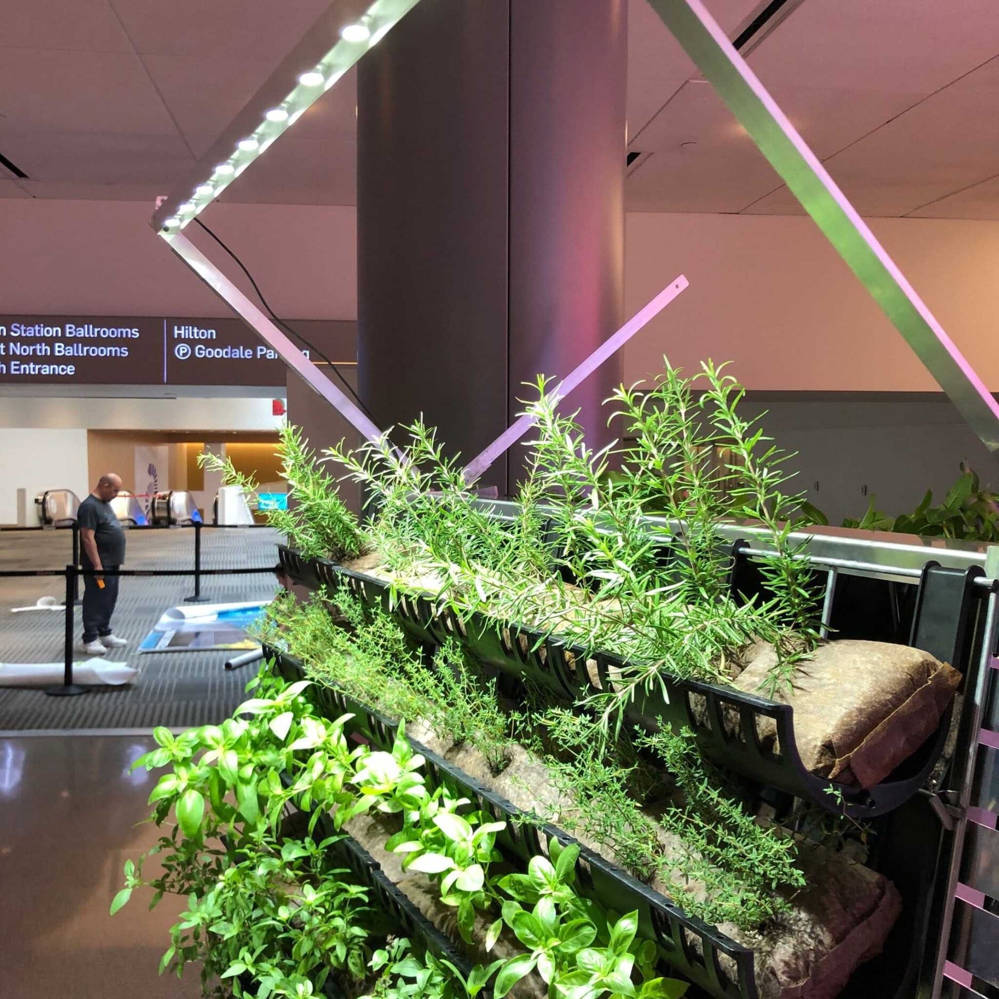 Filled Ellepot Pouches for Vertical Gardens - Bootstrap Farmer ~ Blessings Grow Meadows