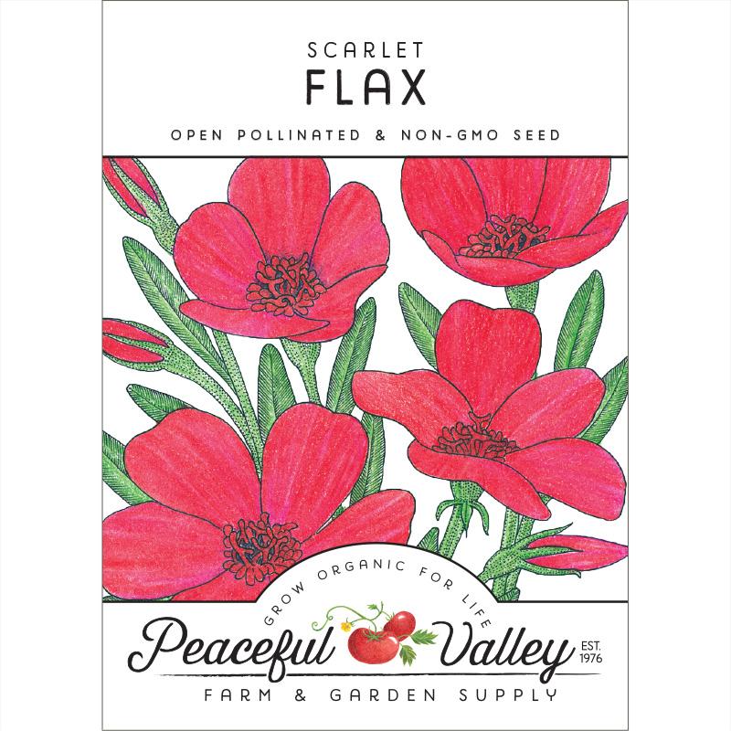 Flax, Scarlet (pack) - Blessings Grow Meadows