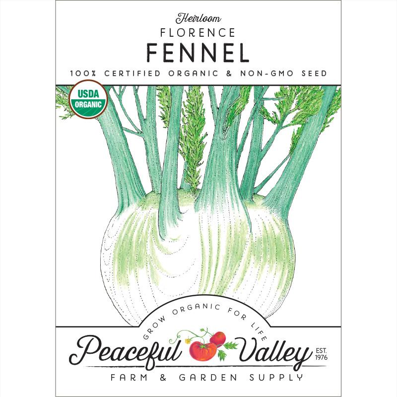 Florence Fennel Seeds (Organic) - Blessings Grow Meadows