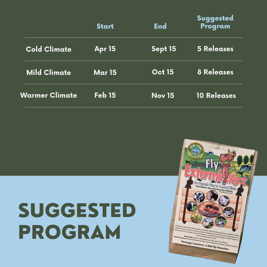 Fly Exterminators - Blessings Grow Meadows -