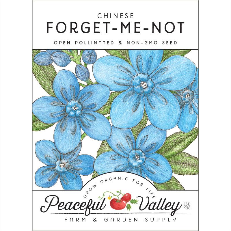 Forget-Me-Not, Chinese (pack) - Blessings Grow Meadows