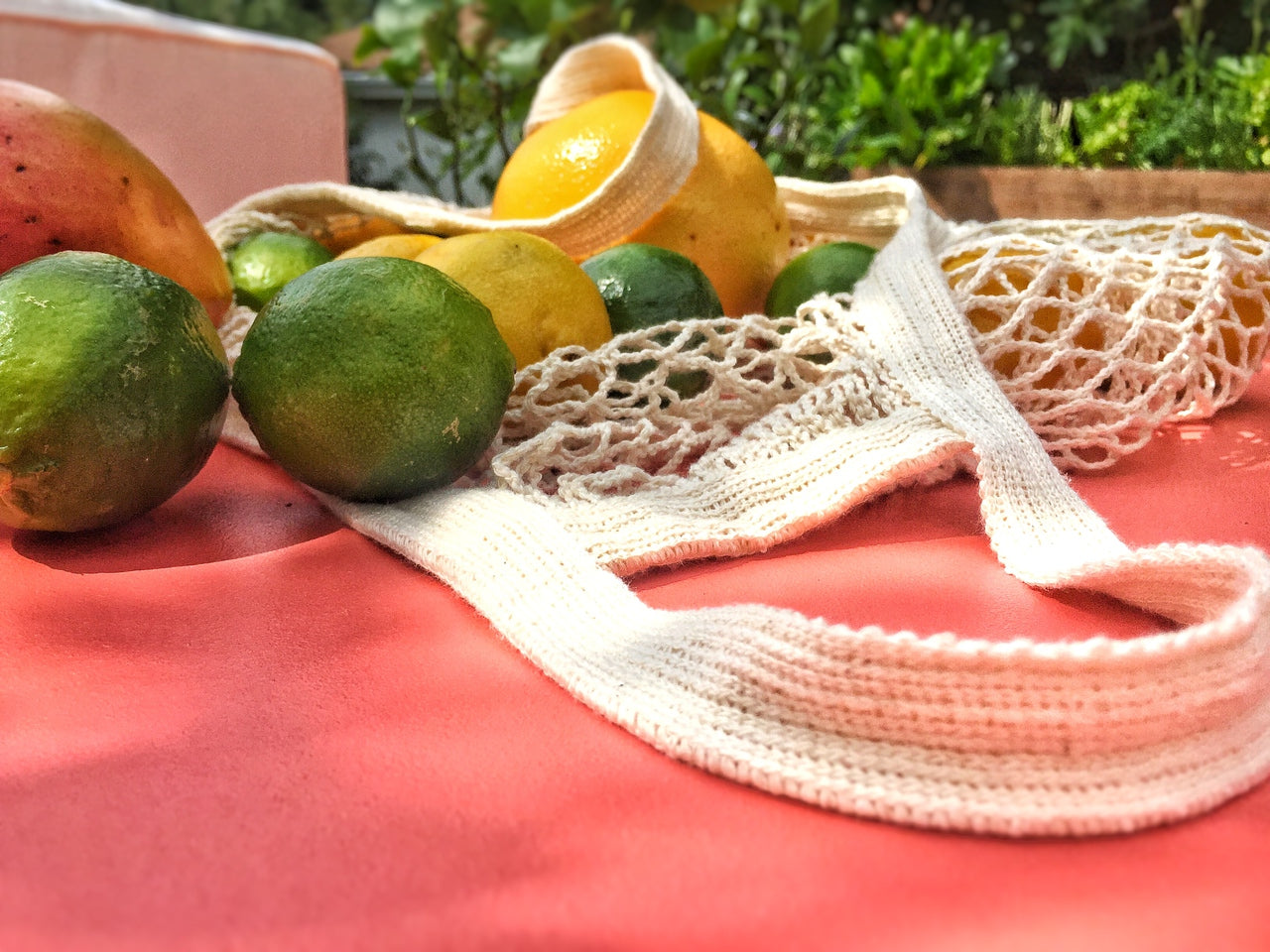 French Market Tote - Cotton String Bag - Blessings Grow Meadows