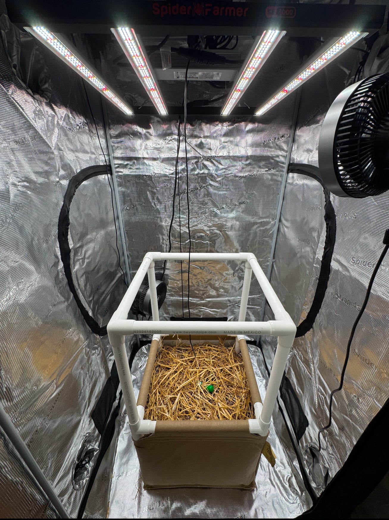 Hobby Grow Living Soil Raised Bed - Grassroots Fabric Pots ~ Blessings Grow Meadows