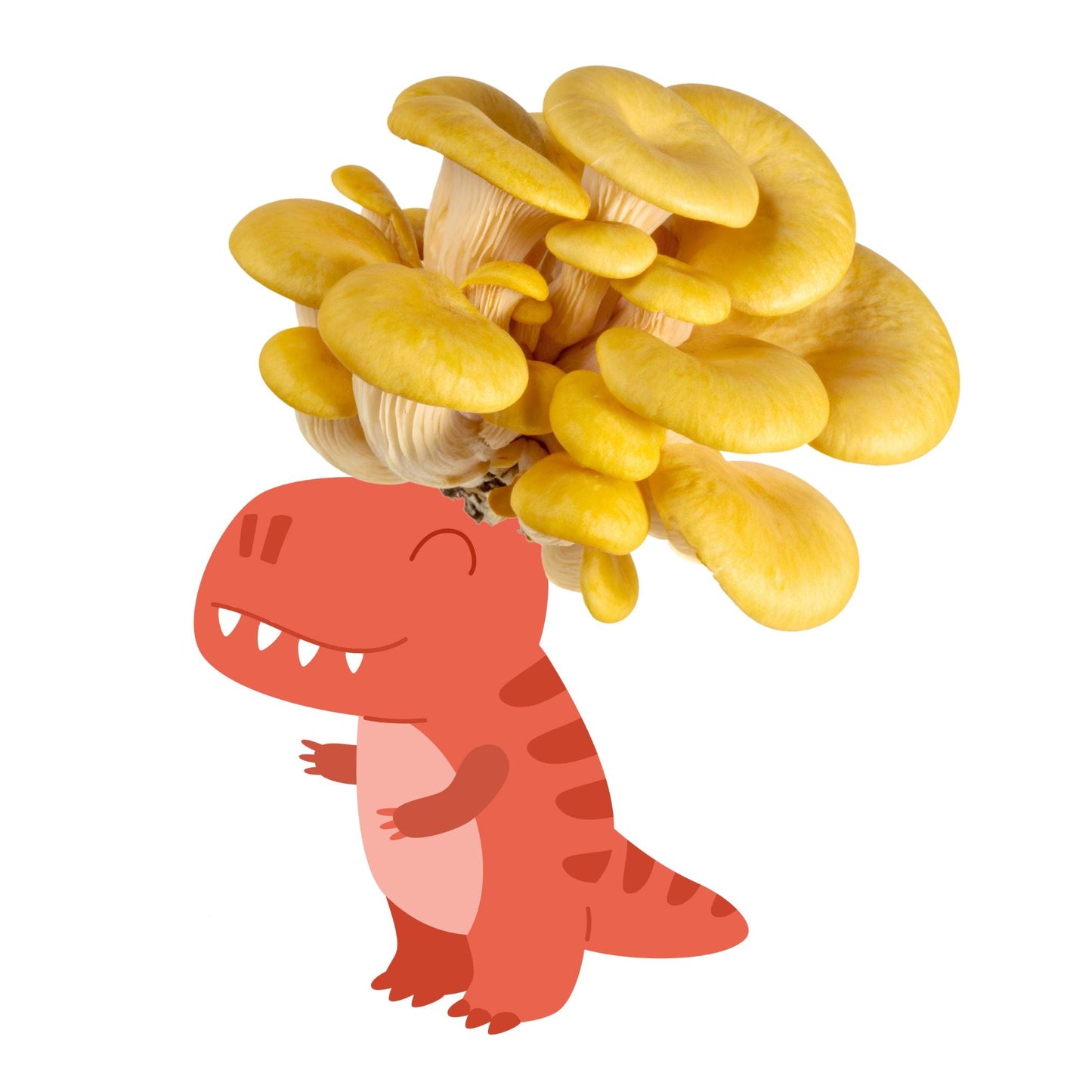 Fungisaurus Rex - Gold Oyster Mushroom Grow Kit - 5 LBS (with box) - Blessings Grow Meadows