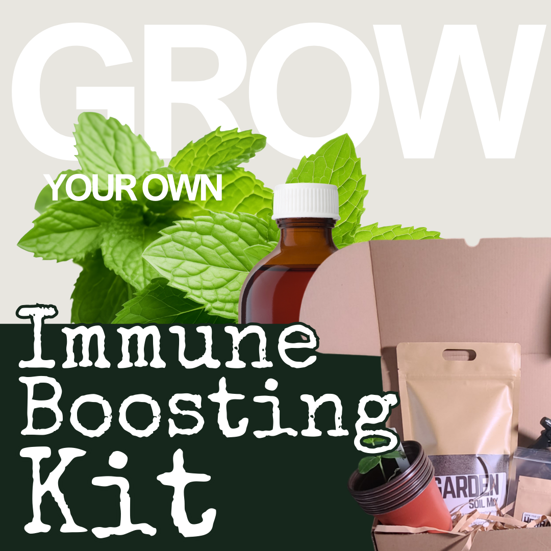 Hasty Roots immune-boosting garden kit with seedlings, soil, and planting instructions for home herbal cultivation.