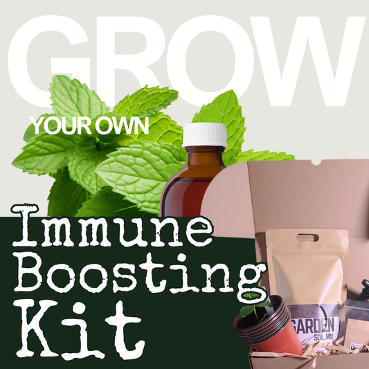 Hasty Roots immune-boosting garden kit with seedlings, soil, and planting instructions for home herbal cultivation.