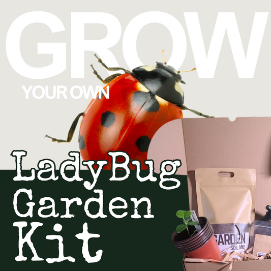Hasty Roots LadyBug Garden Kit with soil, ladybug eggs, and planting tools for creating a mini garden indoor or outdoor.
