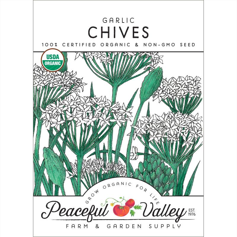 Garlic Chives Seeds (Organic) - Blessings Grow Meadows