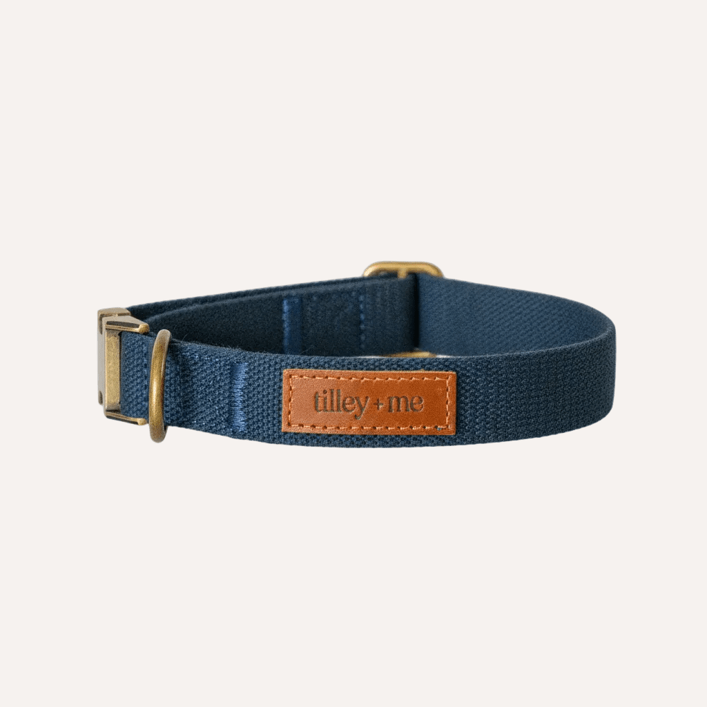 Hemp cotton dog collar from Tilley + Me, adjustable, lightweight, soft, durable, and sustainable for small to medium dogs.