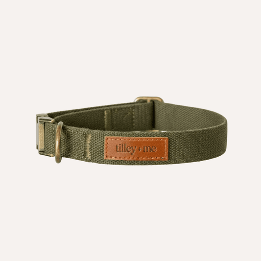 Soft hemp cotton dog collar by Tilley + Me, adjustable, lightweight, durable, and sustainable, shown in a natural setting.