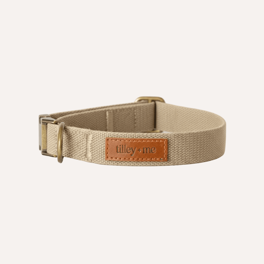 Soft hemp cotton dog collar by Tilley + Me, adjustable and lightweight, durable and sustainable for everyday wear.