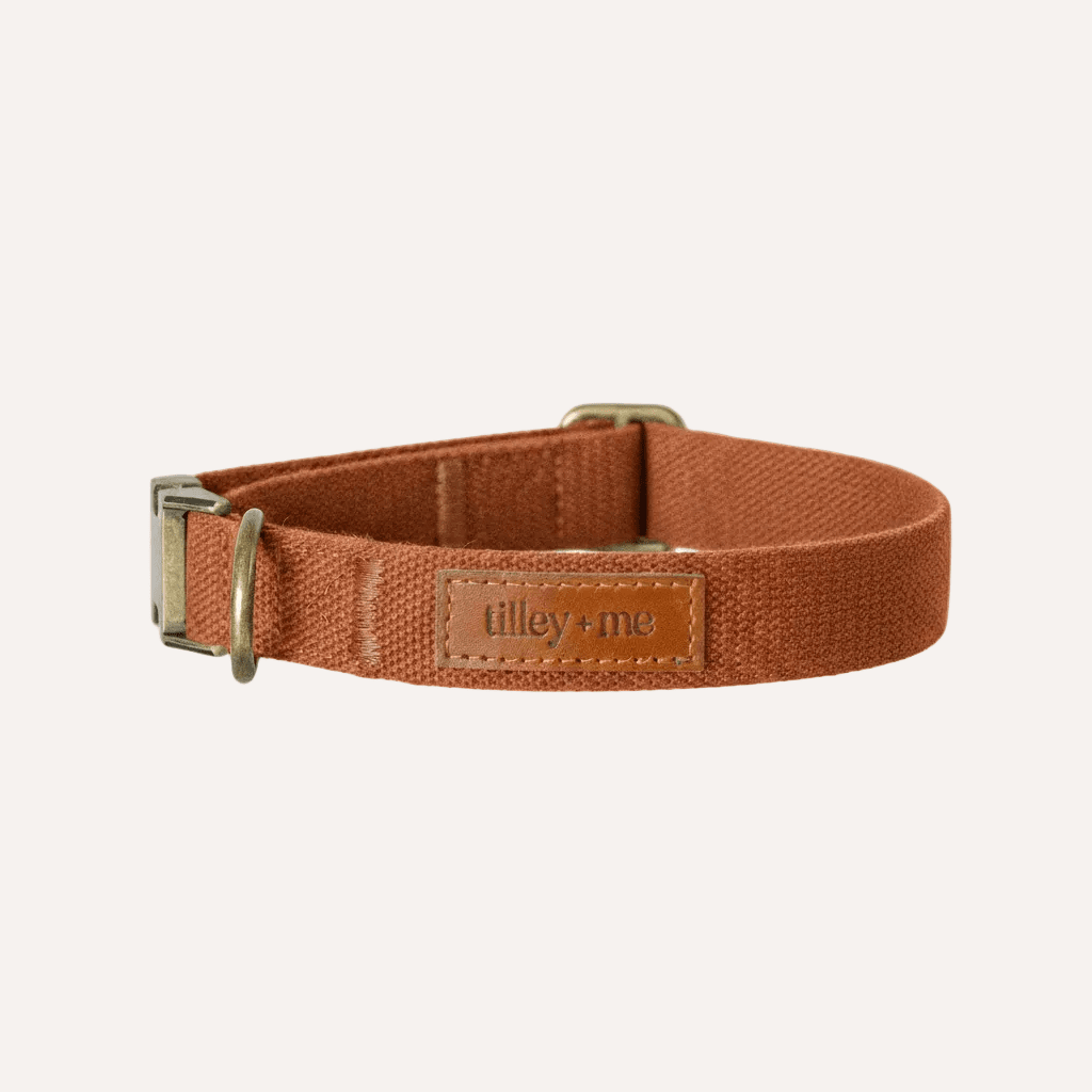 Lightweight hemp cotton dog collar from Tilley + Me, showcasing a soft, durable, and adjustable design for pets.