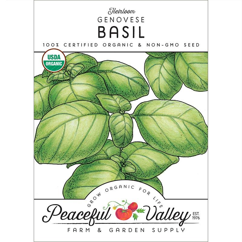 Genovese Basil Seeds (Organic) - Blessings Grow Meadows