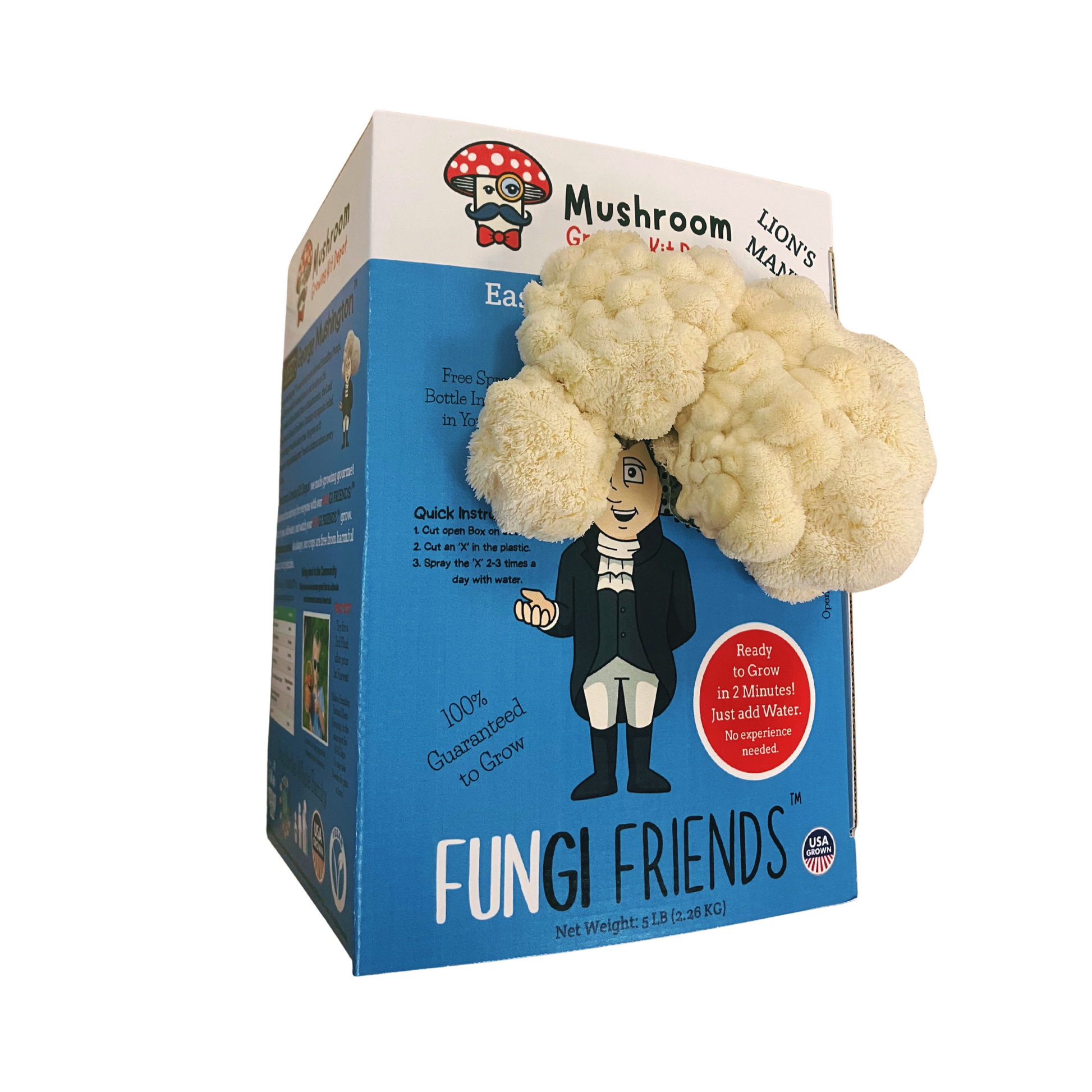George Mushington - Lion's Mane Mushroom Grow Kit - 5 LBS (with box) - Blessings Grow Meadows