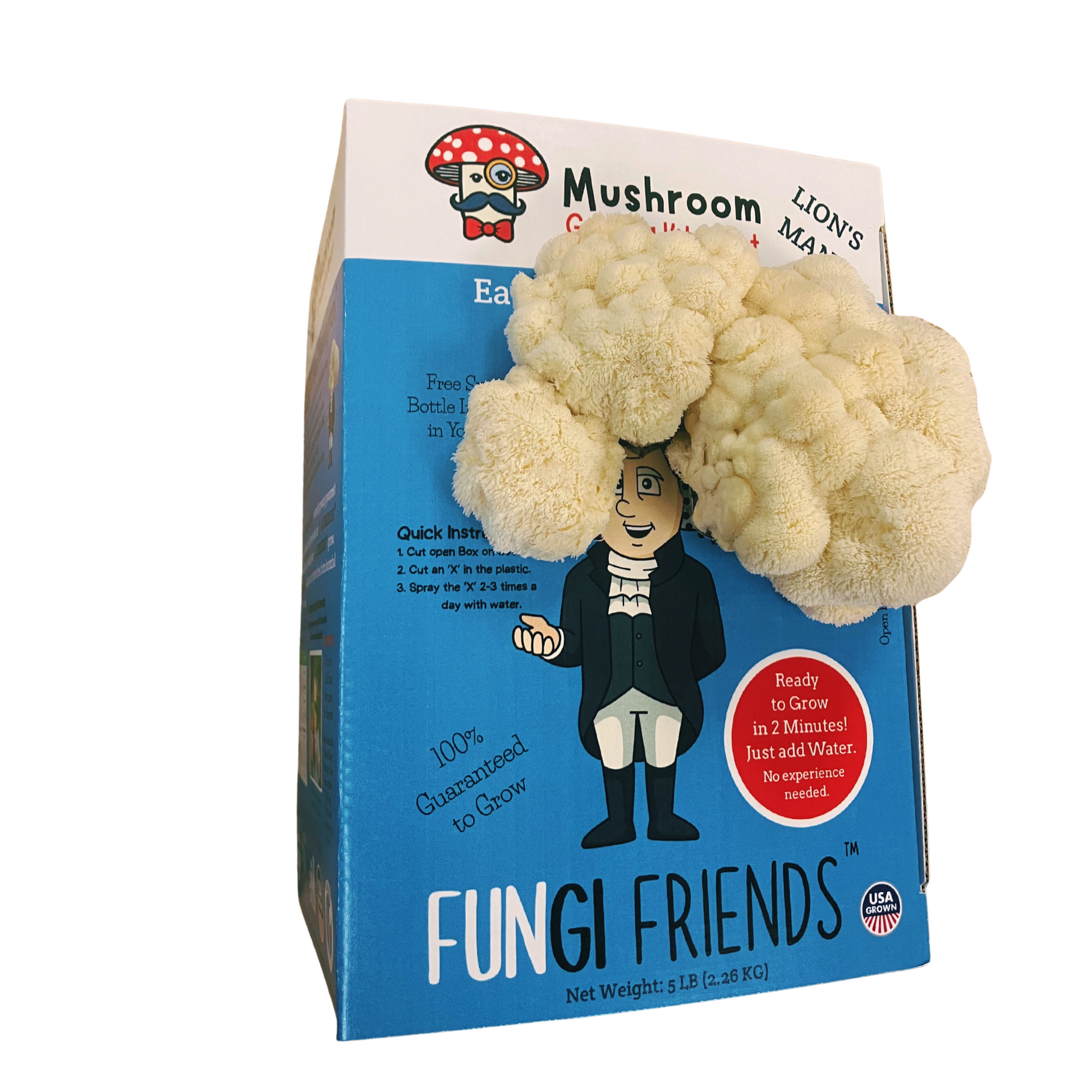 George Mushington - Lion's Mane Mushroom Grow Kit - 5 LBS (with box) - Blessings Grow Meadows