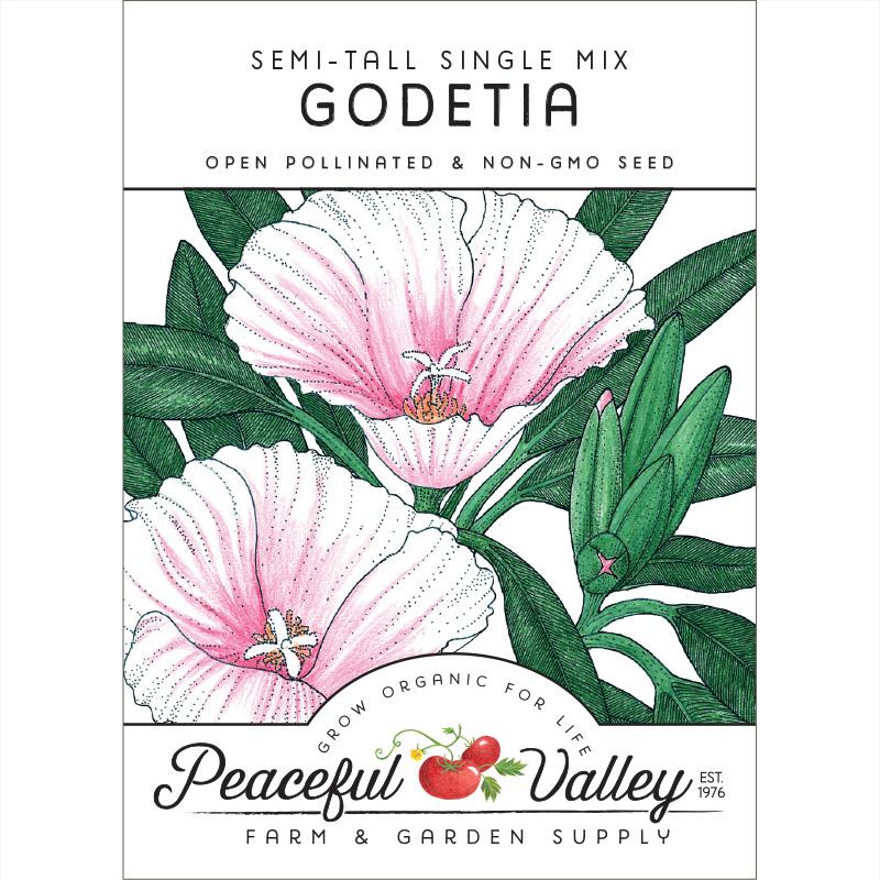 Godetia, Semi-Tall Single Mix (pack) - Blessings Grow Meadows