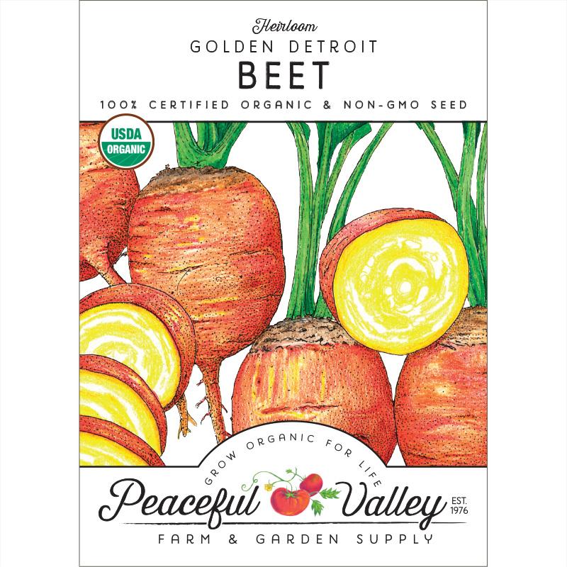 Golden Detroit Beet Seeds (Organic) - Blessings Grow Meadows