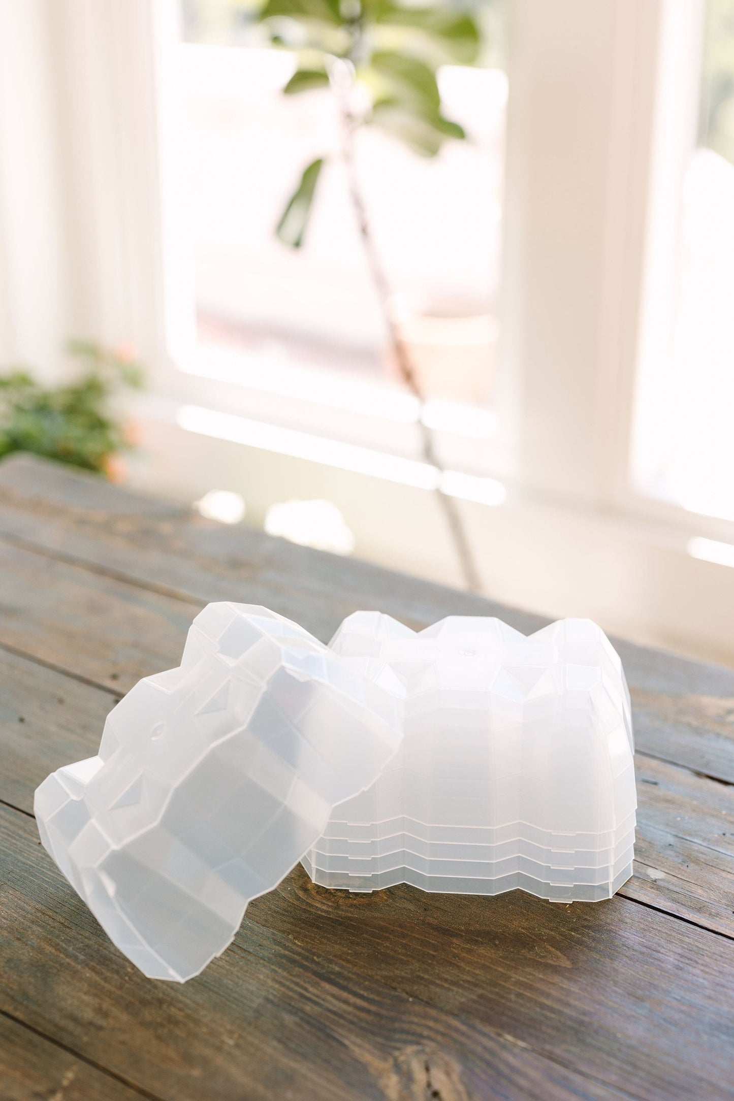 GreenStalk Garden Seed Starter Kit with Domes - Blessings Grow Meadows -