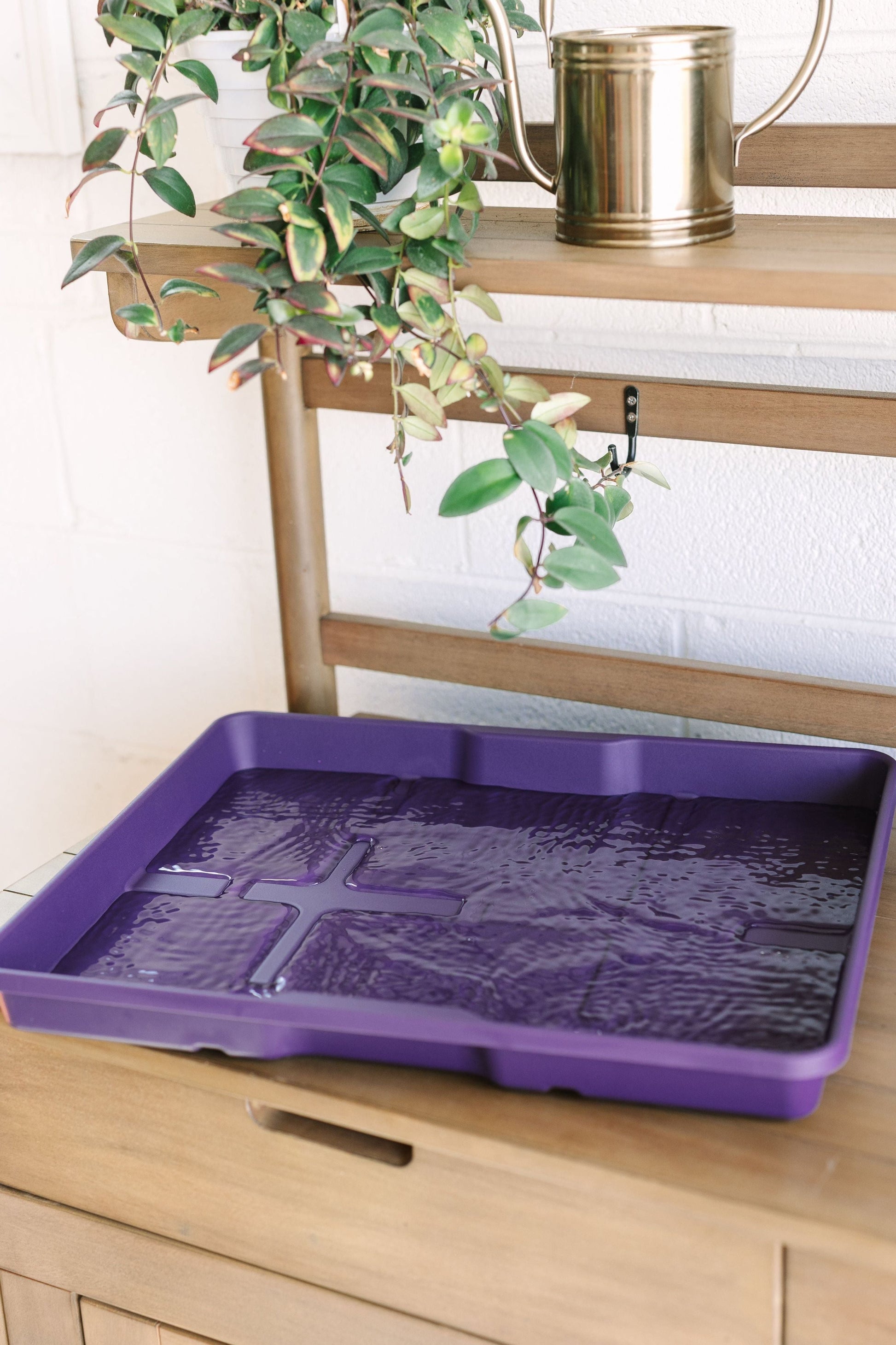 GreenStalk Garden Seed Starter Kit with Domes - Blessings Grow Meadows -