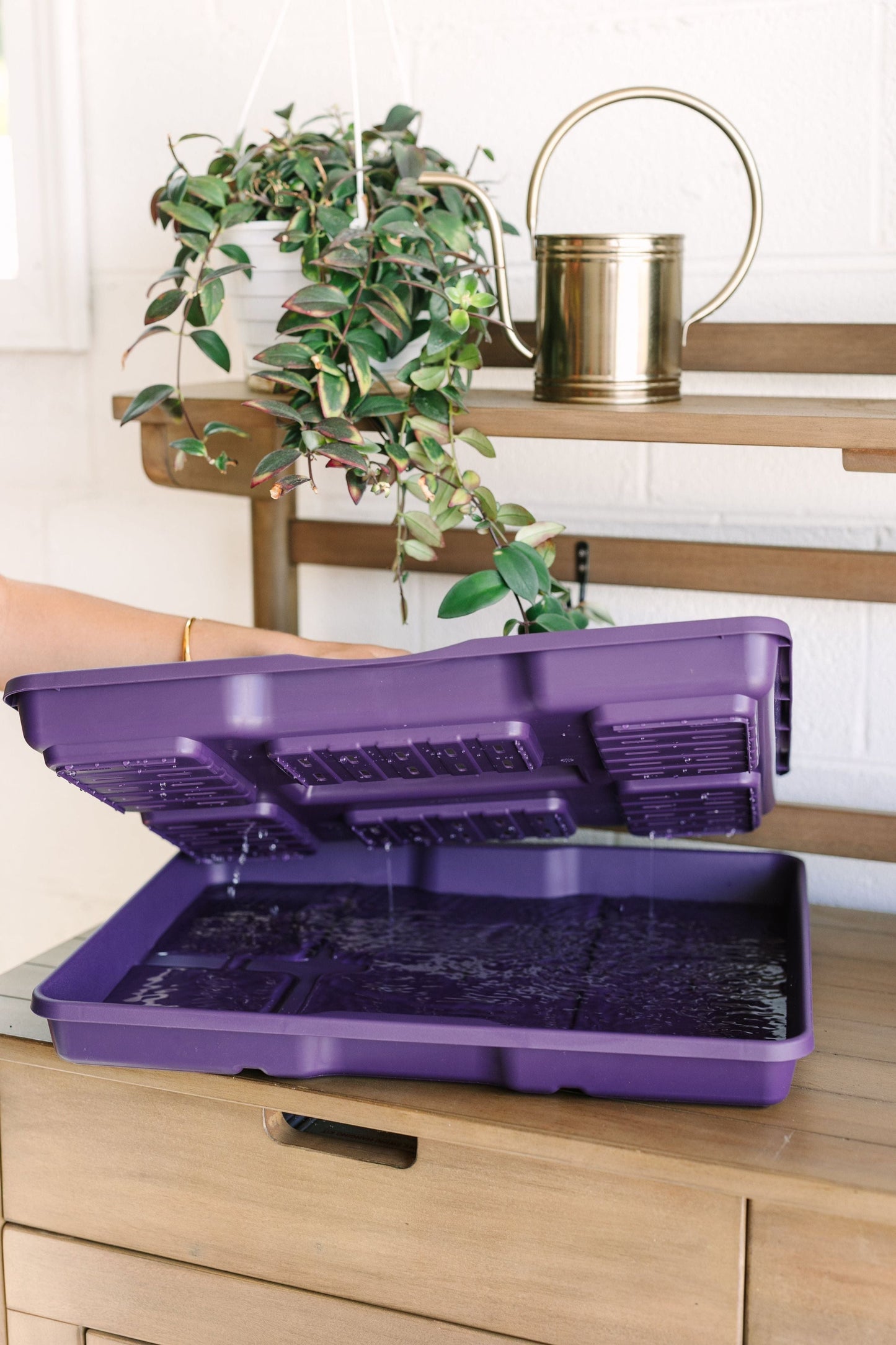 GreenStalk Garden Seed Starter Kit with Domes - Blessings Grow Meadows -