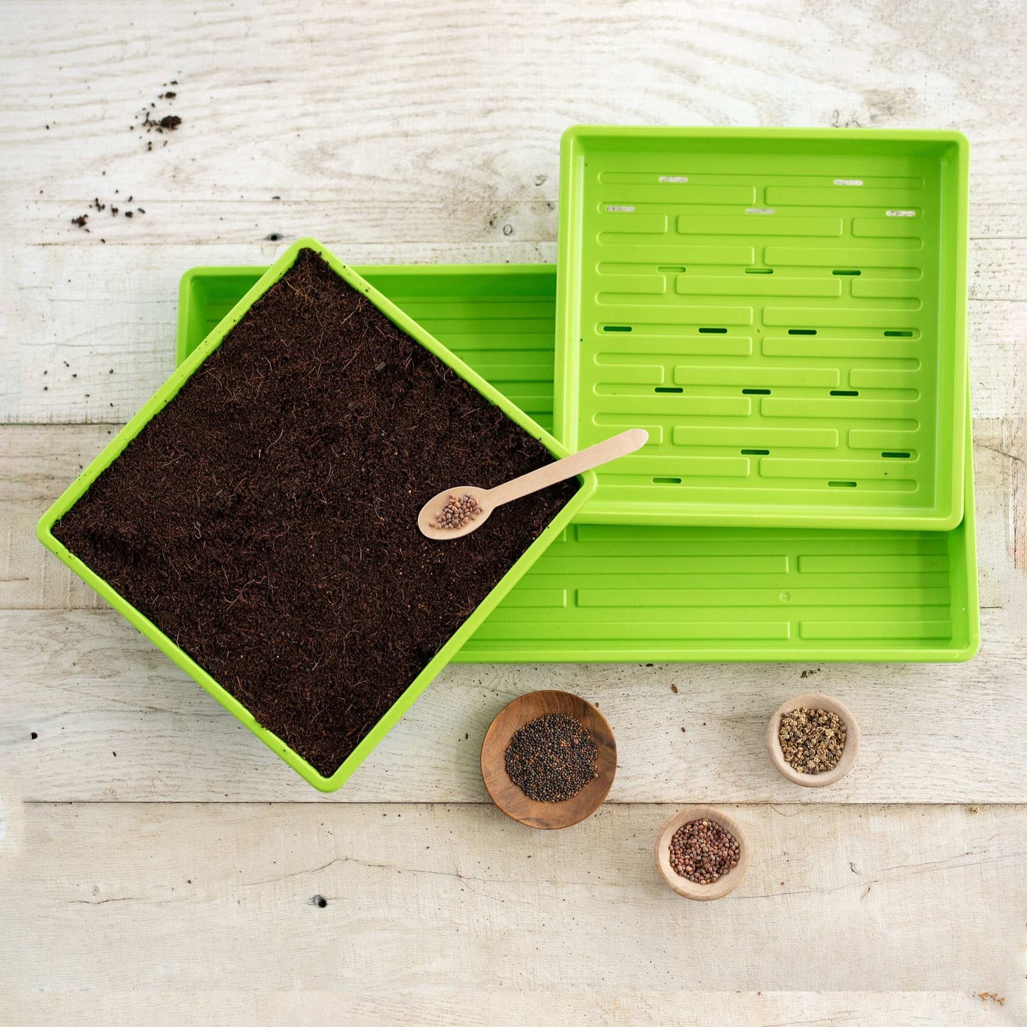 1010 Microgreens Kit - Blessings Grow Meadows