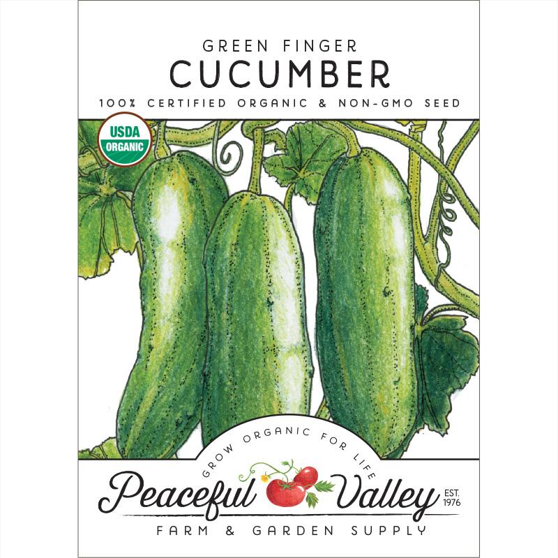 Green Finger Cucumber Seeds (Organic) - Blessings Grow Meadows