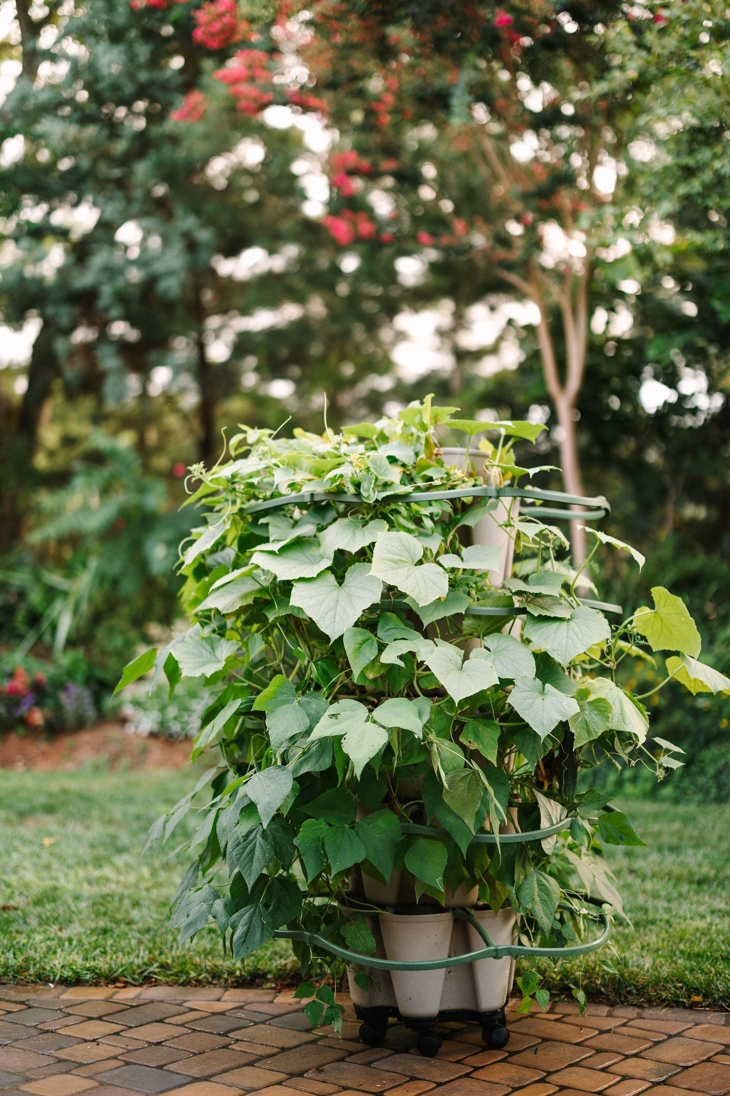GreenStalk Garden Mover - Blessings Grow Meadows