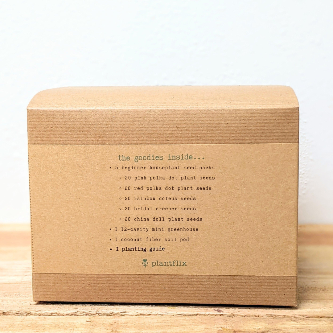 Grow an Indoor Jungle Houseplant Seed Kit - Blessings Grow Meadows -