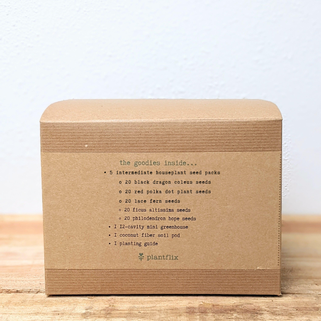 Grow an Indoor Jungle Houseplant Seed Kit - Blessings Grow Meadows -
