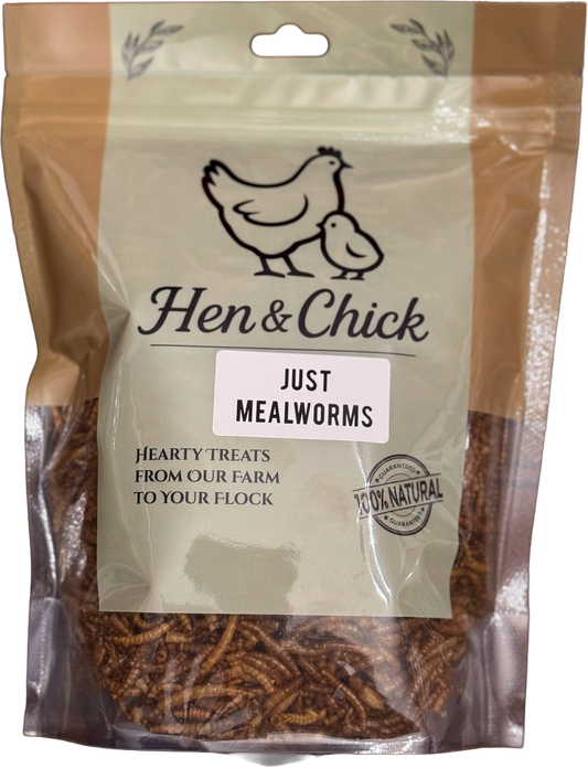 Hen & Chick Just Mealworms treat in a clear container, perfect for feeding pet birds or poultry.