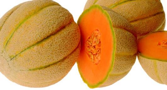 Jenny Lind Cantaloupe Seeds - Blessings Grow Meadows