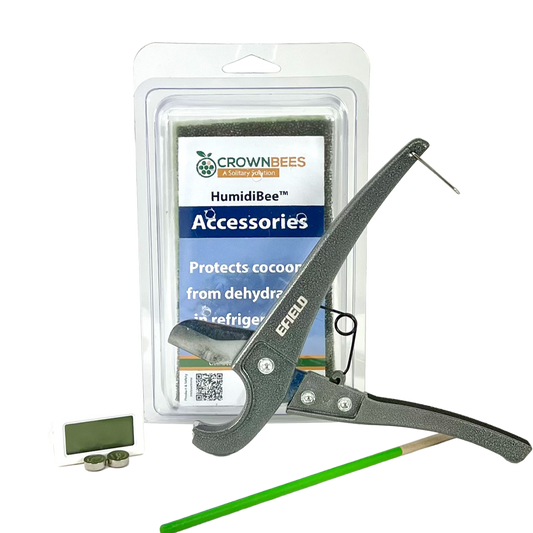 Cocoon Harvest Set - Blessings Grow Meadows