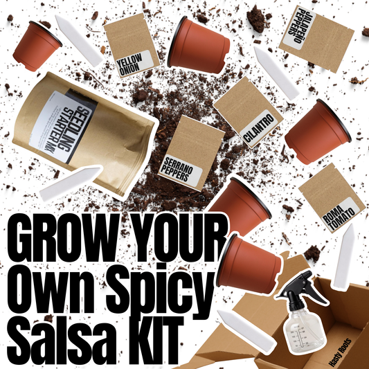 Hasty Roots Spicy Salsa Kit with fresh ingredients and herbs for growing homemade salsa at home.