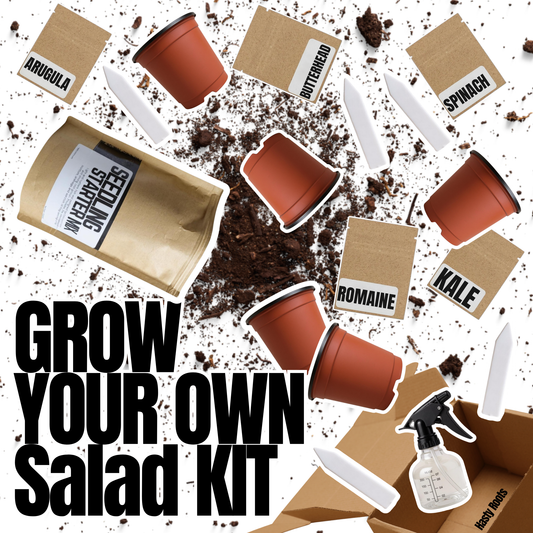 Hasty Roots Salad Kit with assorted fresh vegetables and herbs in a compact garden kit for home growing.