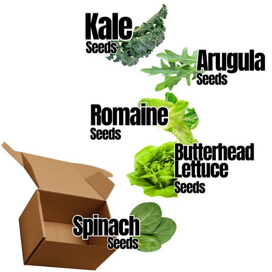 Hasty Roots salad kit with fresh greens, herbs, and vegetables in a garden kit for home growing.