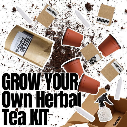Hasty Roots herbal tea kit with seeds, pots, and instructions for growing your own herbal tea herbs at home.